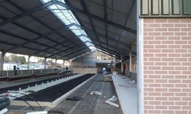 nieuwbouw ligboxenstal